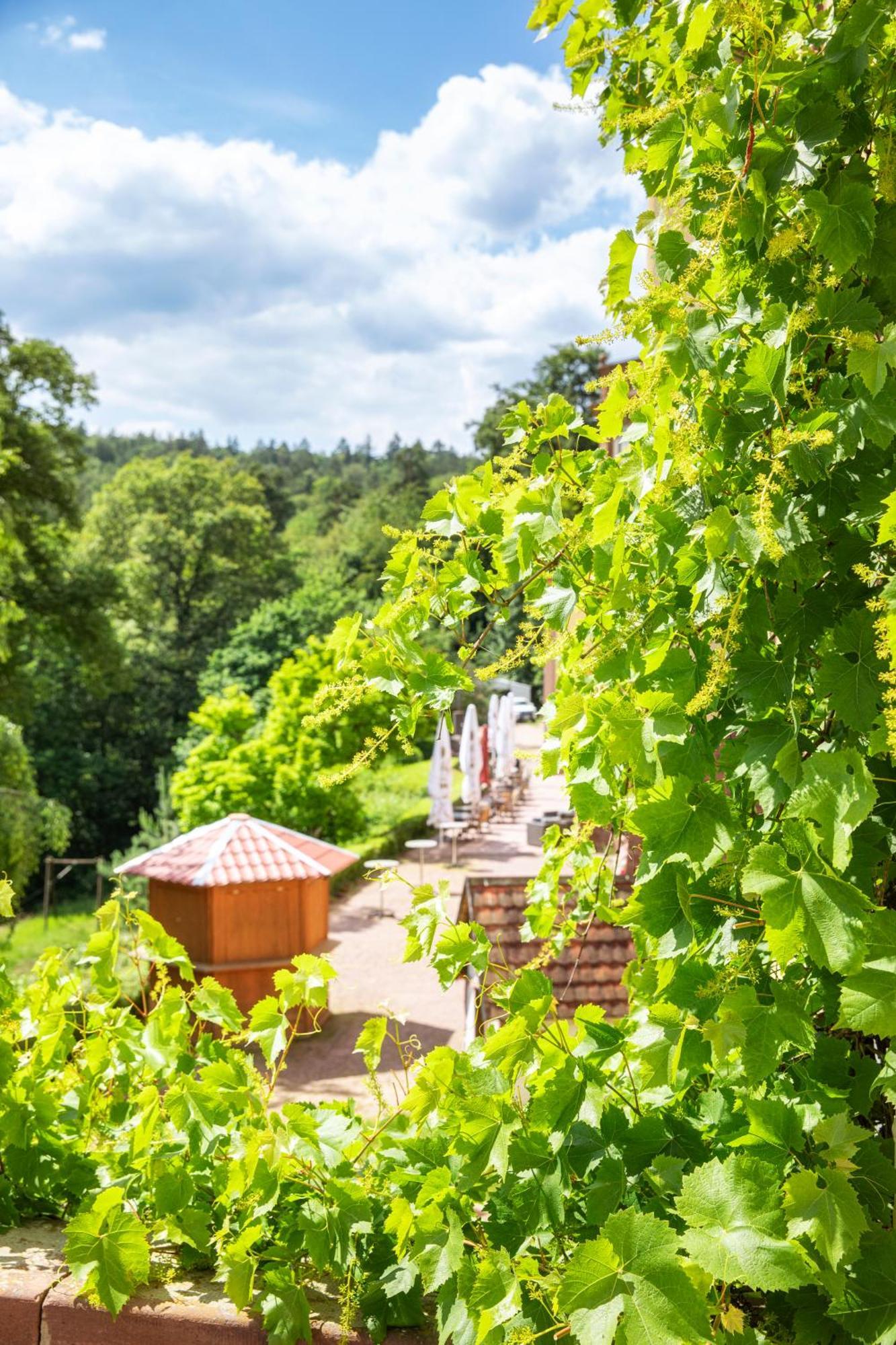 Roomingtons Hotel Franziskushoehe Lohr Bagian luar foto